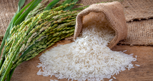 Food safety laws and FSSAI license