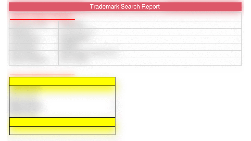 TM search report